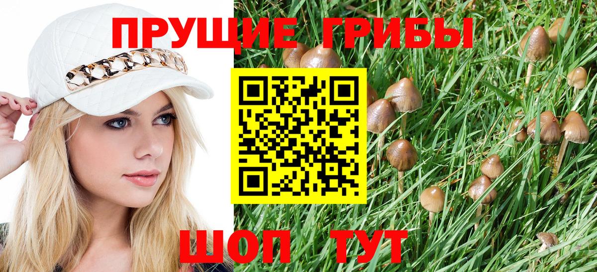 Псилоцибиновые грибы GOLDEN TEACHER Дивногорск