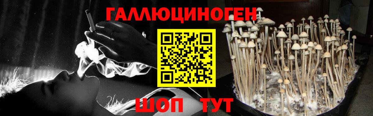 Дивногорск  Псилоцибиновые грибы прущие грибы  где купить наркоту  Вход с VPN 
